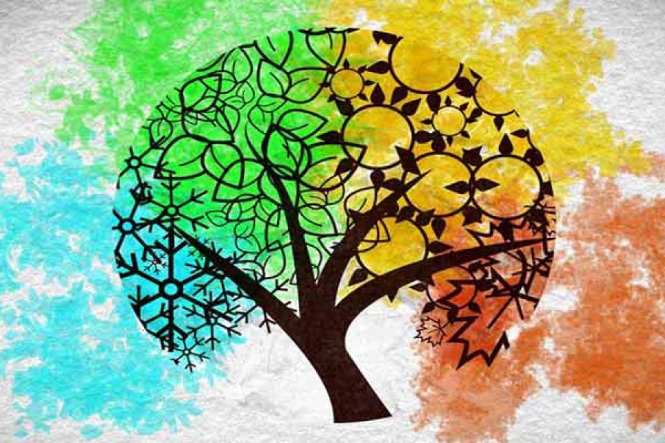 مزاج شناسی فصل ها ، مزه ها، اعضای بدن و کل هستی