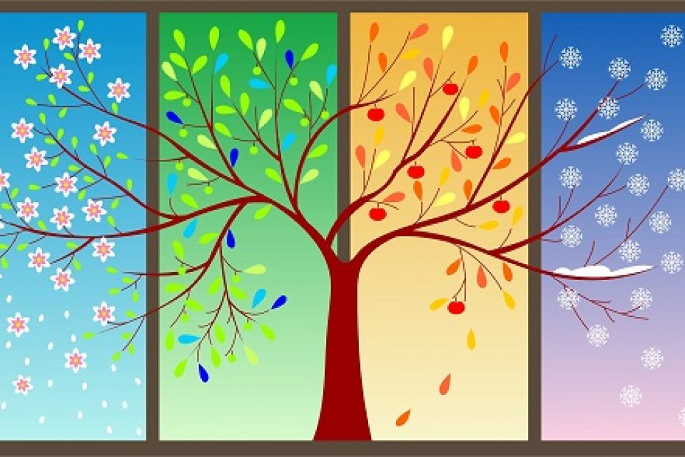 درس گفتارهای استاد حوریه احمدی راد (مزاج شناسی)