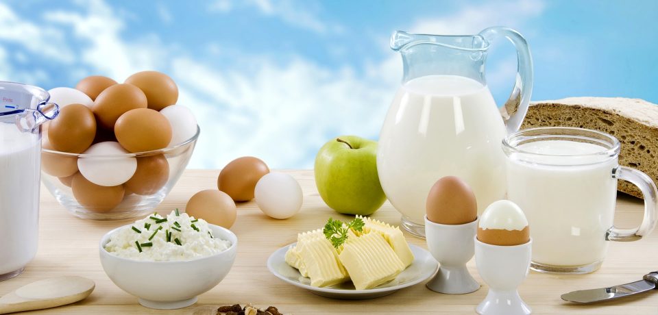 تغذیه از دیدگاه ابوعلی‌ سینا